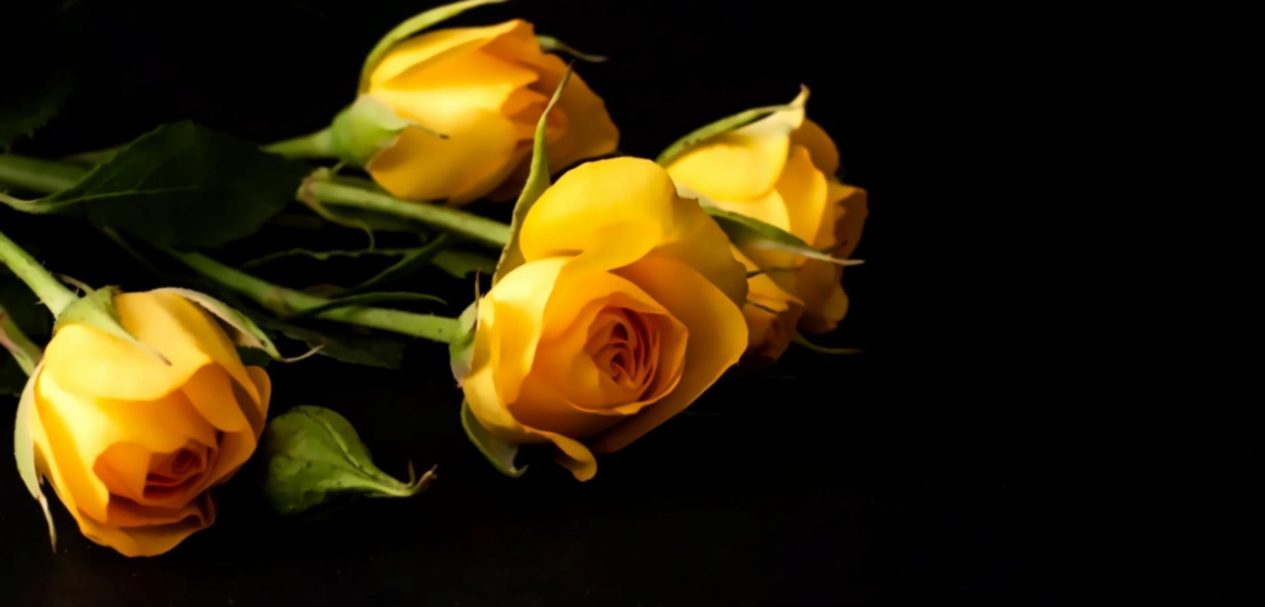 Professional flower delivery in progress with careful handling